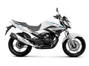 Fazer FZ25